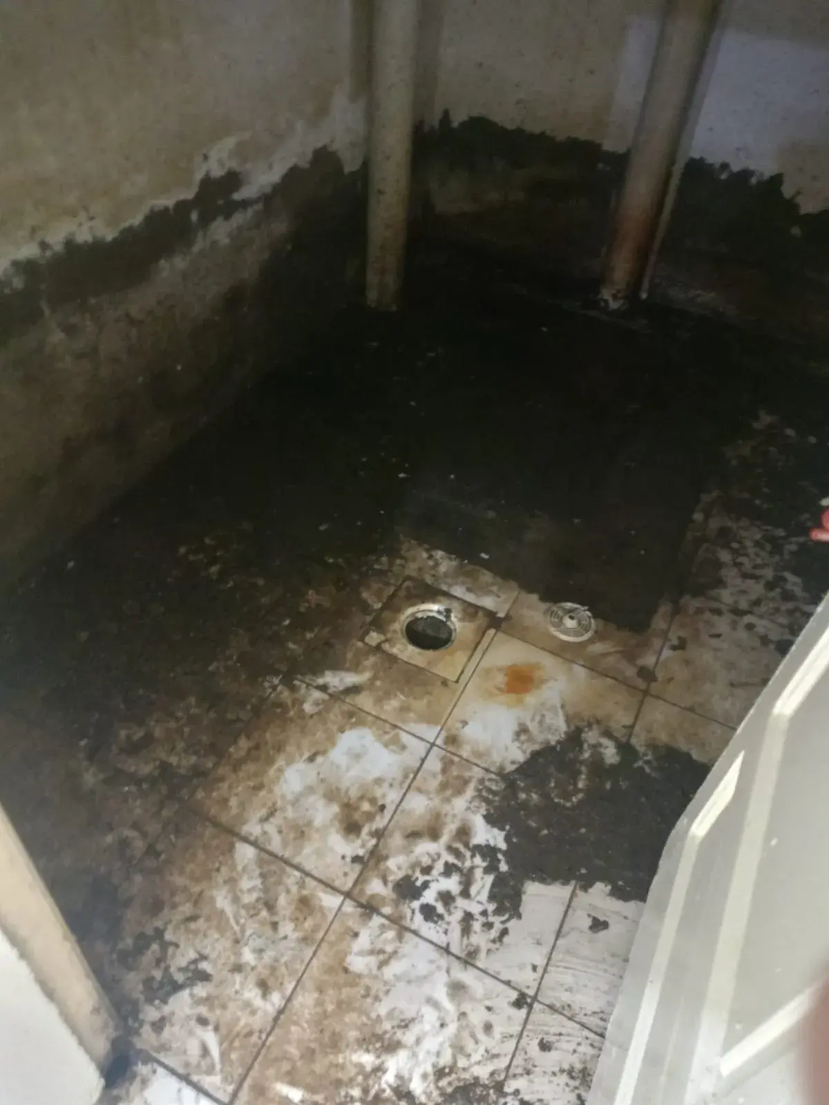 افضل شركة كشف تسربات الحمامات خميس مشيط