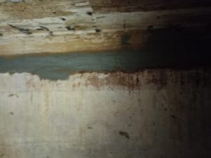 افضل شركه ترميمات مباني