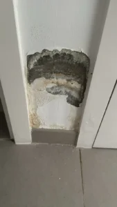 افضل شركه كشف الرطوبه بالرياض