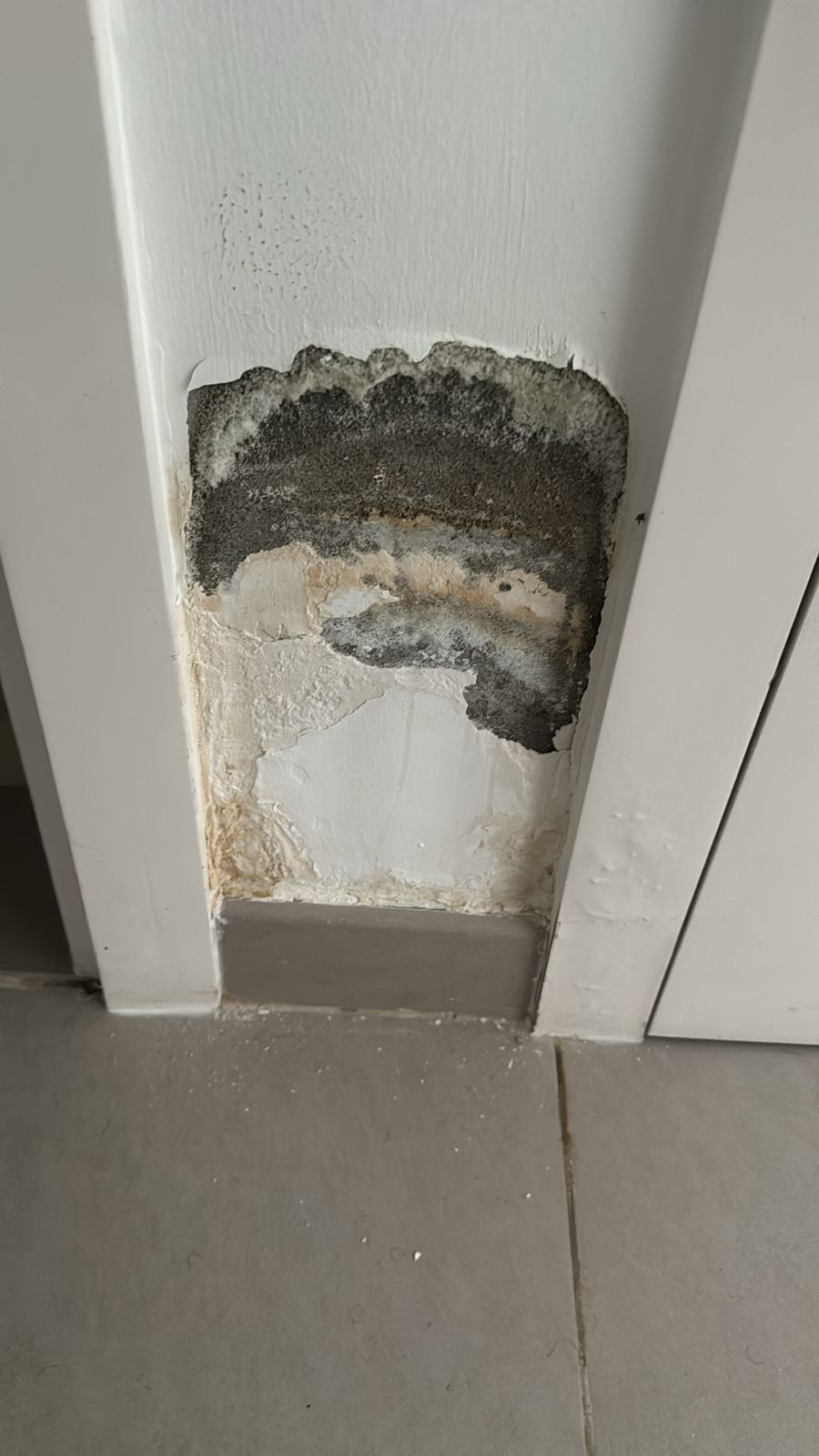 افضل شركة كشف ومعالجة الرطوبة خميس مشيط