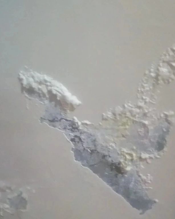 افضل شركة كشف ومعالجة الرطوبة خميس مشيط